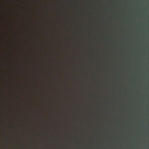 Meet your Posher, Zach